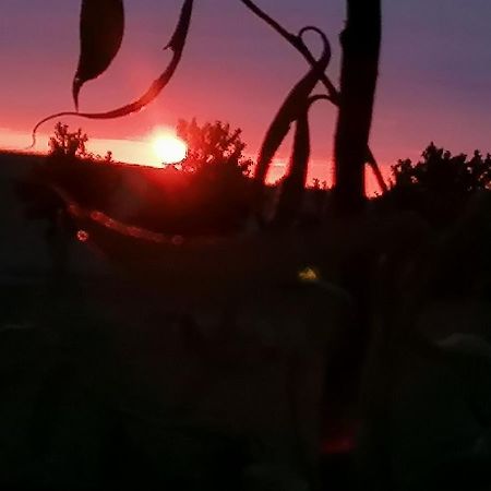 Ferienwohnung Am Haffberg Neverow Dış mekan fotoğraf