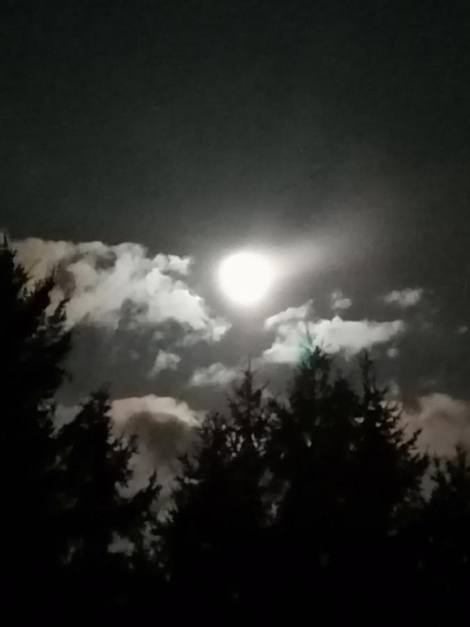 Ferienwohnung Am Haffberg Neverow Dış mekan fotoğraf