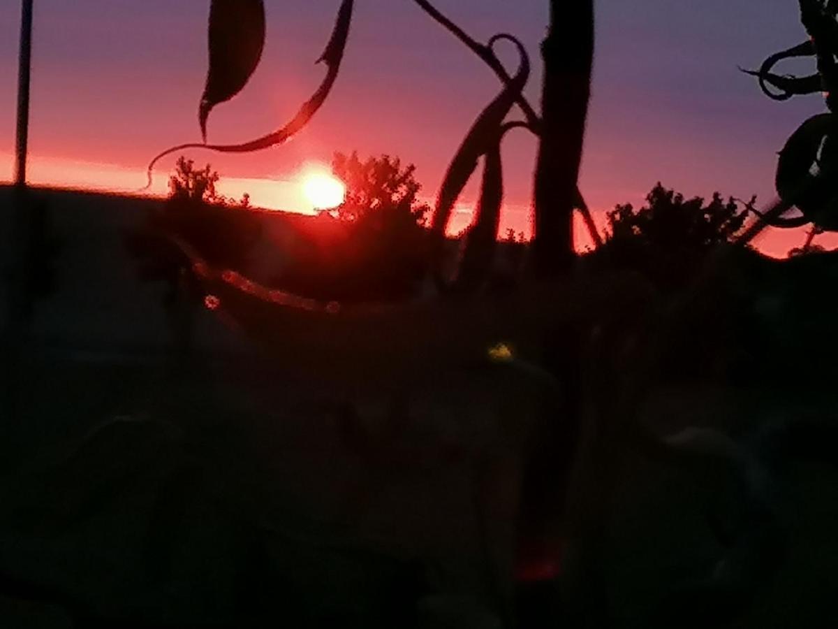 Ferienwohnung Am Haffberg Neverow Dış mekan fotoğraf
