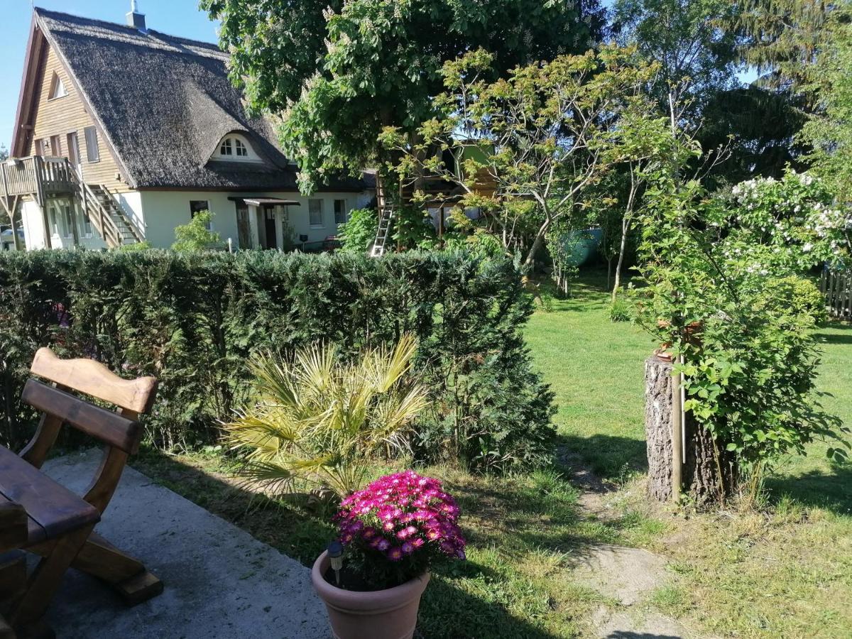 Ferienwohnung Am Haffberg Neverow Dış mekan fotoğraf